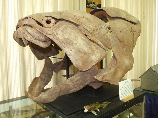 Museum of Geology and Natural History